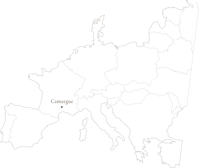 カマルグの地図