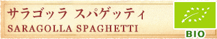 サラゴッラ　スパゲッティ SARAGOLLA SPAGHETTI