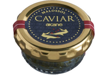 cavia03.jpg